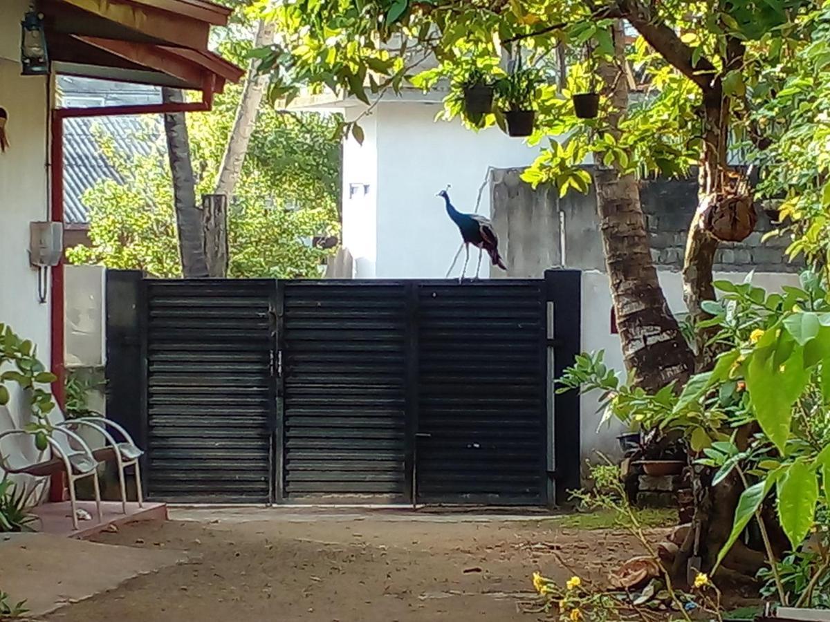 4Ty Two Homestay Galle Bagian luar foto