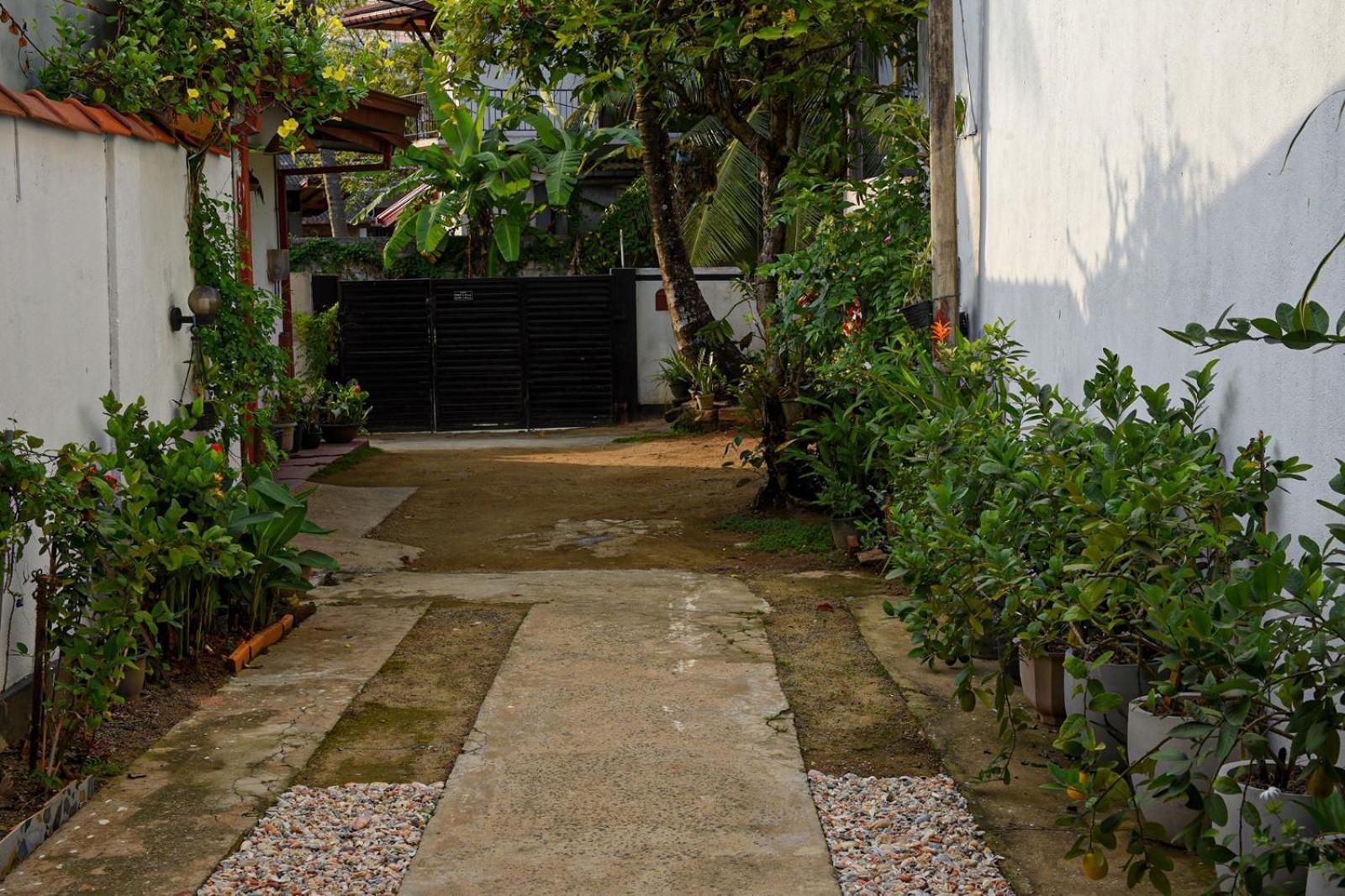 4Ty Two Homestay Galle Bagian luar foto
