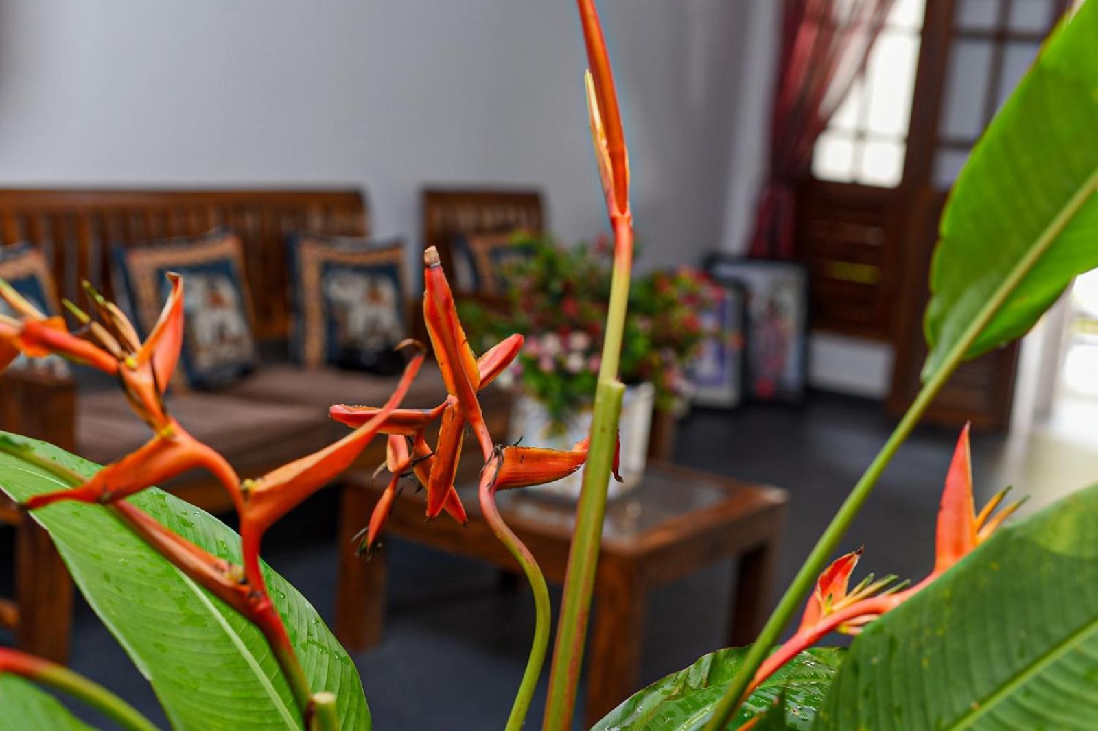 4Ty Two Homestay Galle Bagian luar foto